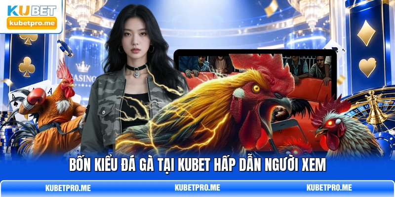 Bốn kiểu đá gà tại KUBET hấp dẫn người xem