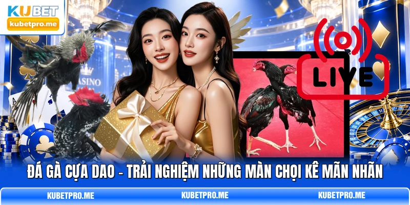 Đá Gà Cựa Dao - Trải Nghiệm Những Màn Chọi Kê Mãn Nhãn