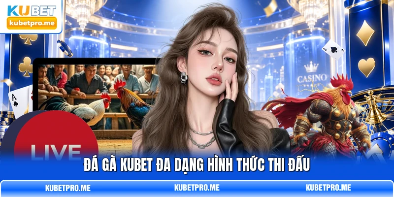 Đá gà KUBET đa dạng hình thức thi đấu