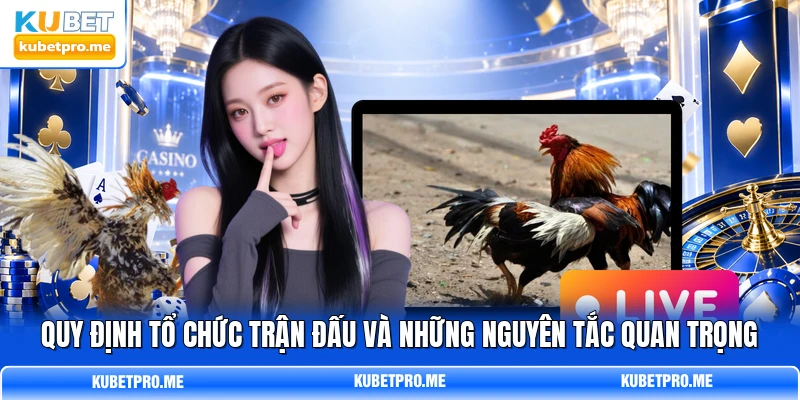 Quy định tổ chức trận đấu và những nguyên tắc quan trọng Quy định tổ chức trận đấu và những nguyên tắc quan trọng