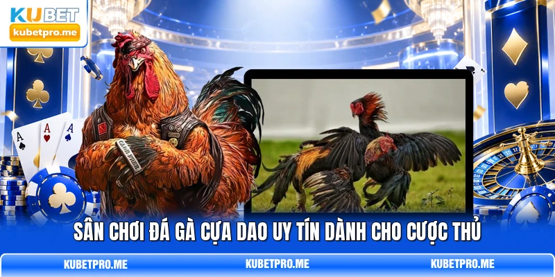 Sân chơi đá gà cựa dao uy tín dành cho cược thủ Sân chơi đá gà cựa dao uy tín dành cho cược thủ